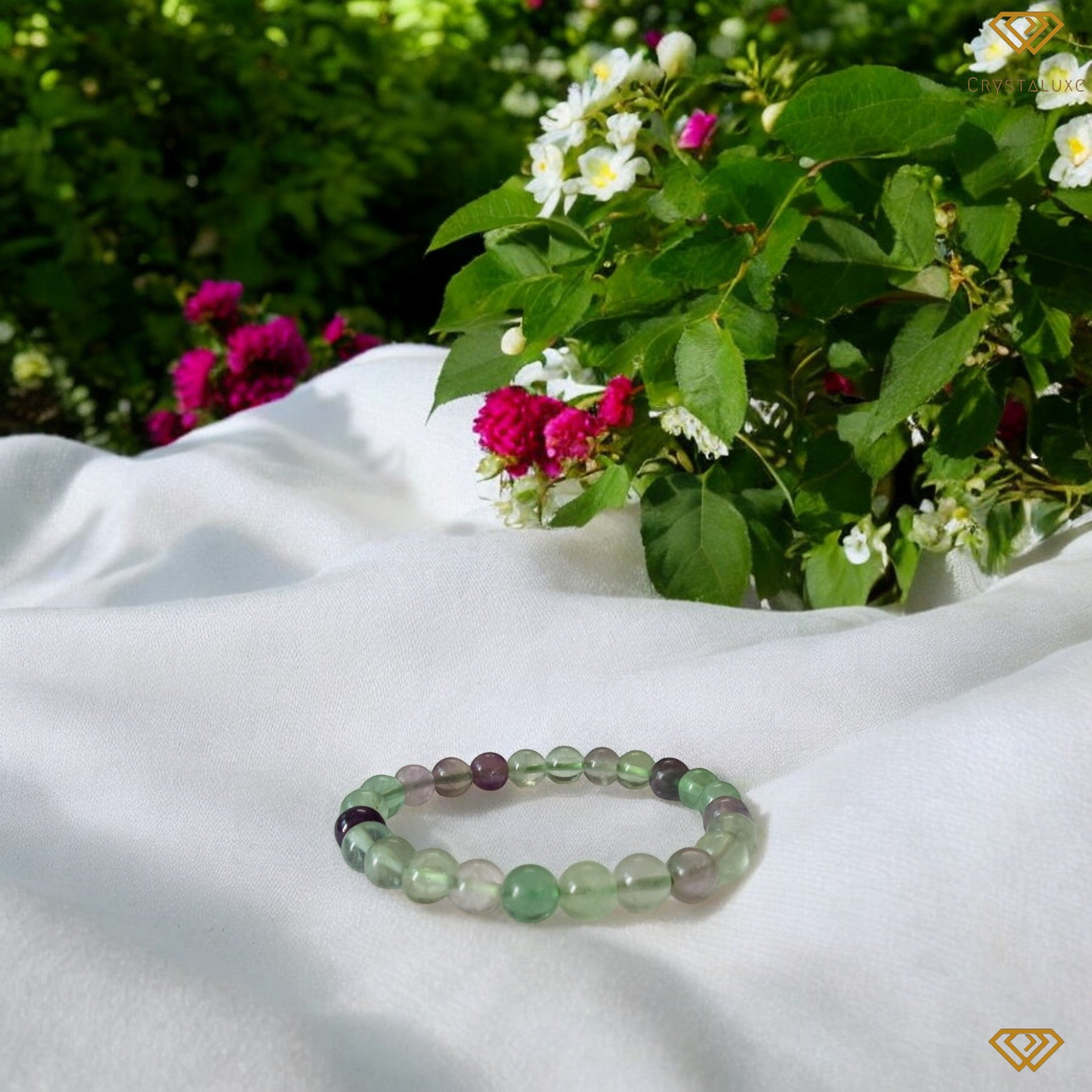 Certified Multifluorite (Focus & Concentration)