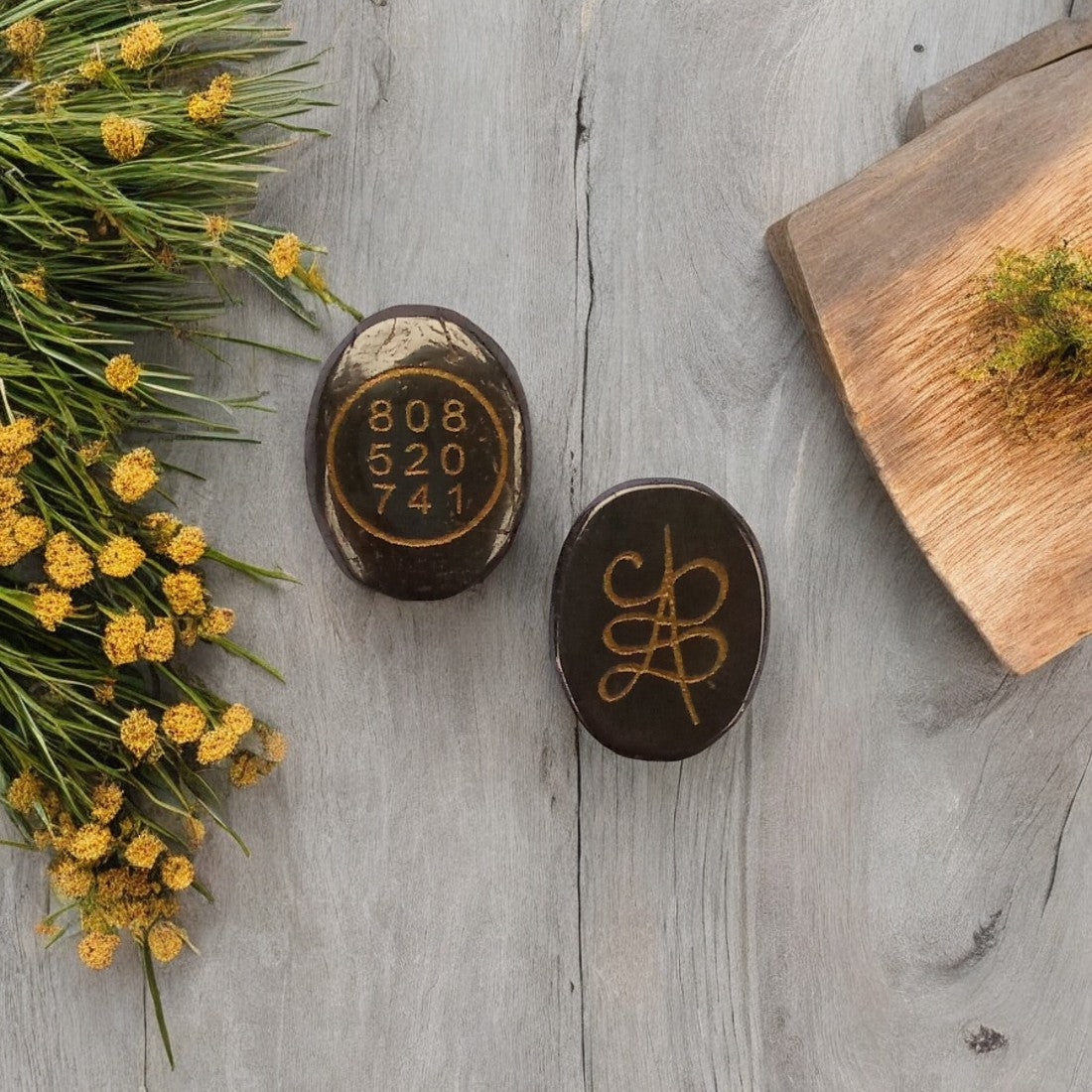 Zibu Coin