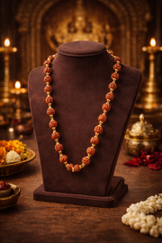 Rudraksha Mala - Golden Cap