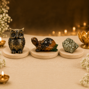 Prosperity Combo – Pyrite Owl, Money Magnet Tortoise & Pyrite Stone.