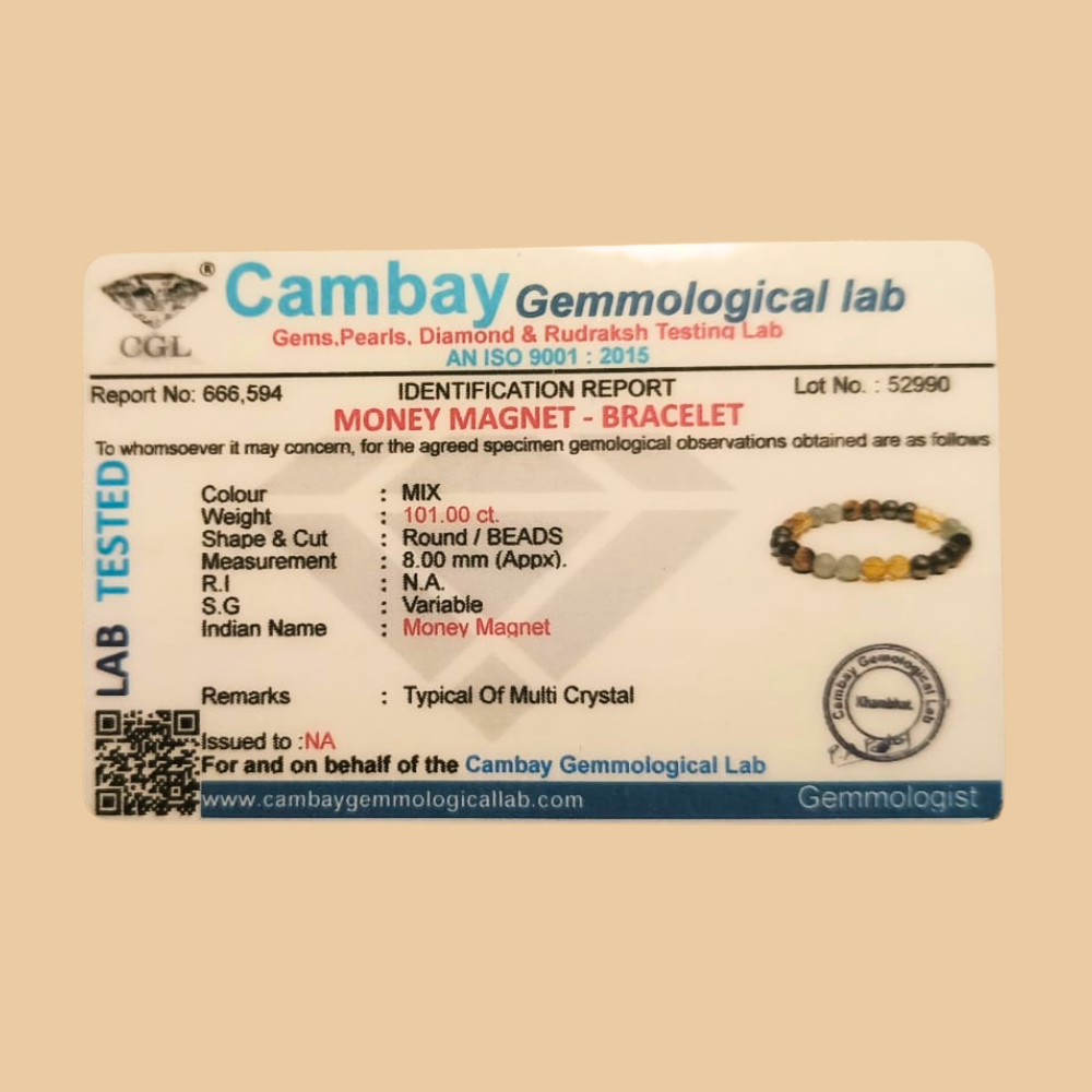 Money Magnet & Selenite Plate Combo