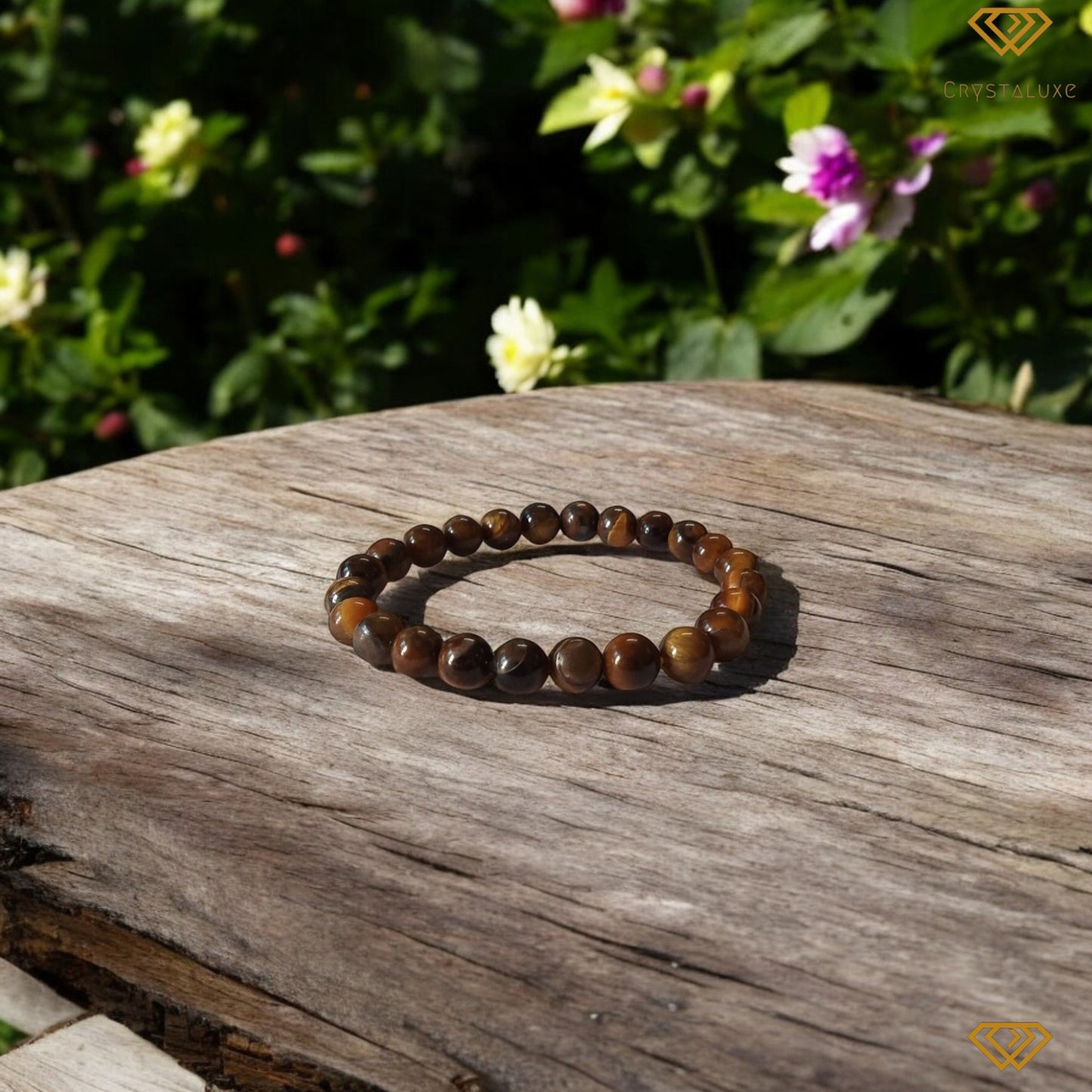 Certified Tiger eye (Confidence & Courage)