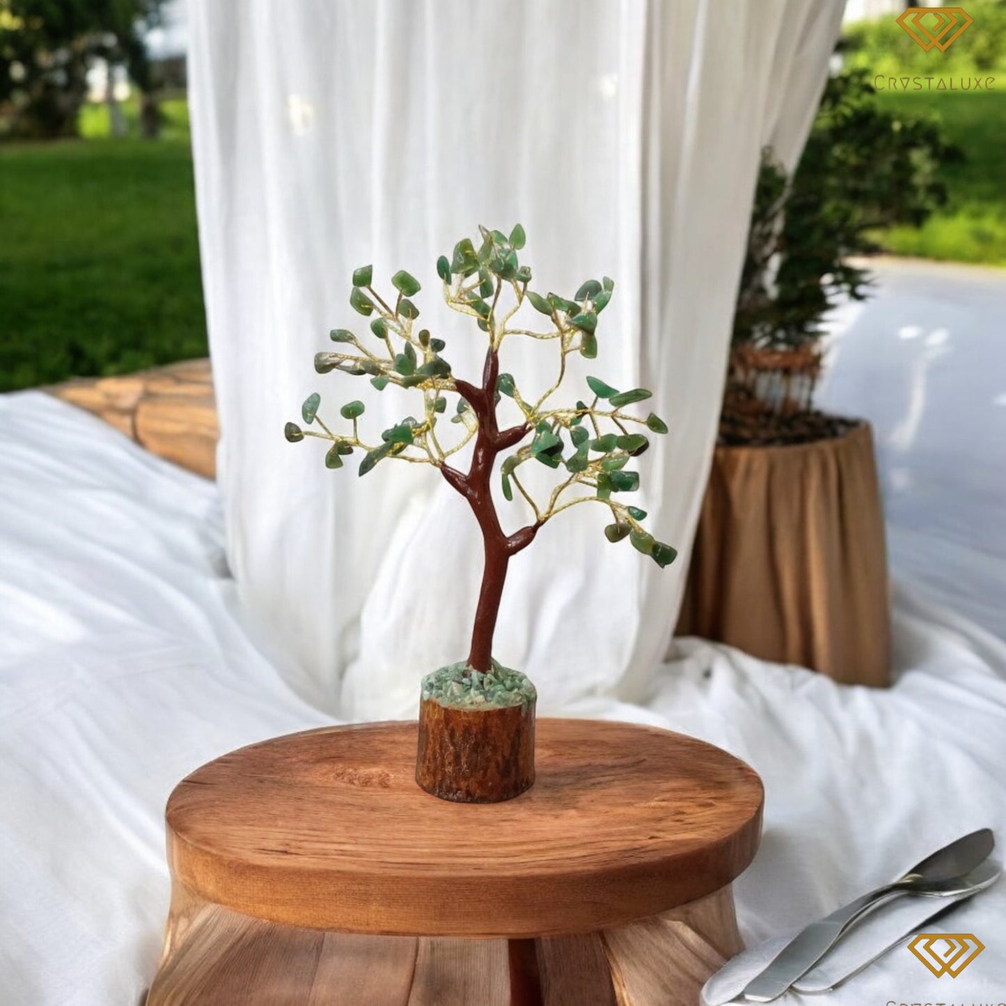 Jade Tree