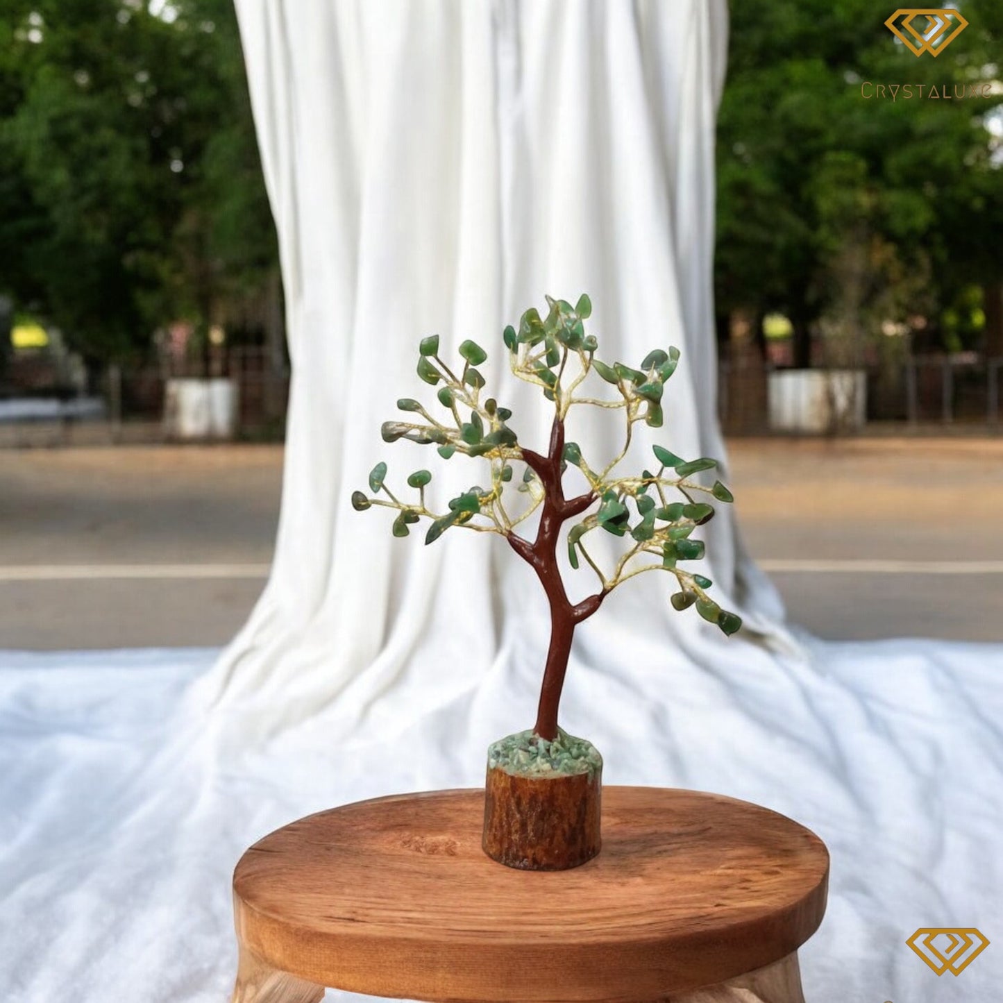 Jade Tree