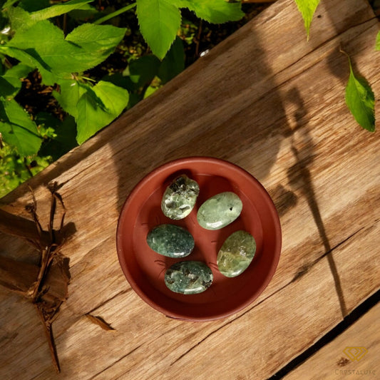 Prenhite Palm stone