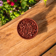 Red jasper chips stone